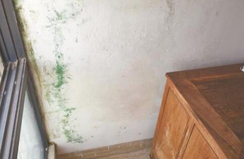 金屬屋面檐口滲水應(yīng)該怎么解決?家用防水涂料這幾點(diǎn)一定要注意