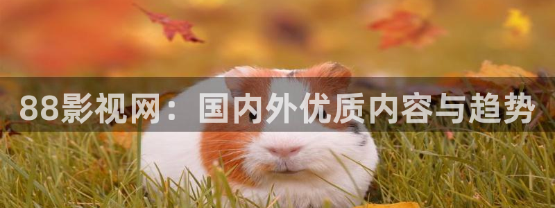 好看影院在線觀看電影：88影視網：國內外優質內容與趨勢